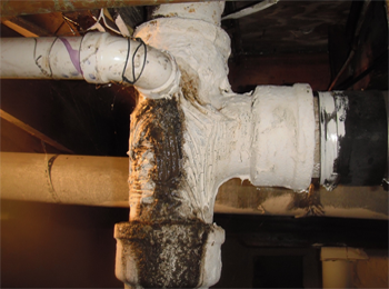 Somebody updated the plumbing on this one. Note even with the entire tub of caulk holding the PVC pipe in place there is still raw sewage running down drain onto basement floor.